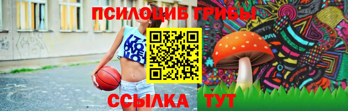 магазин продажи   Галлюциногенные грибы Psilocybine cubensis  Вход с VPN  Тамбов 