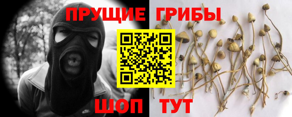 МЕФ кристаллы  АМФ   Вход с VPN  Тамбов  МДМА  Канабис  ГАШ 